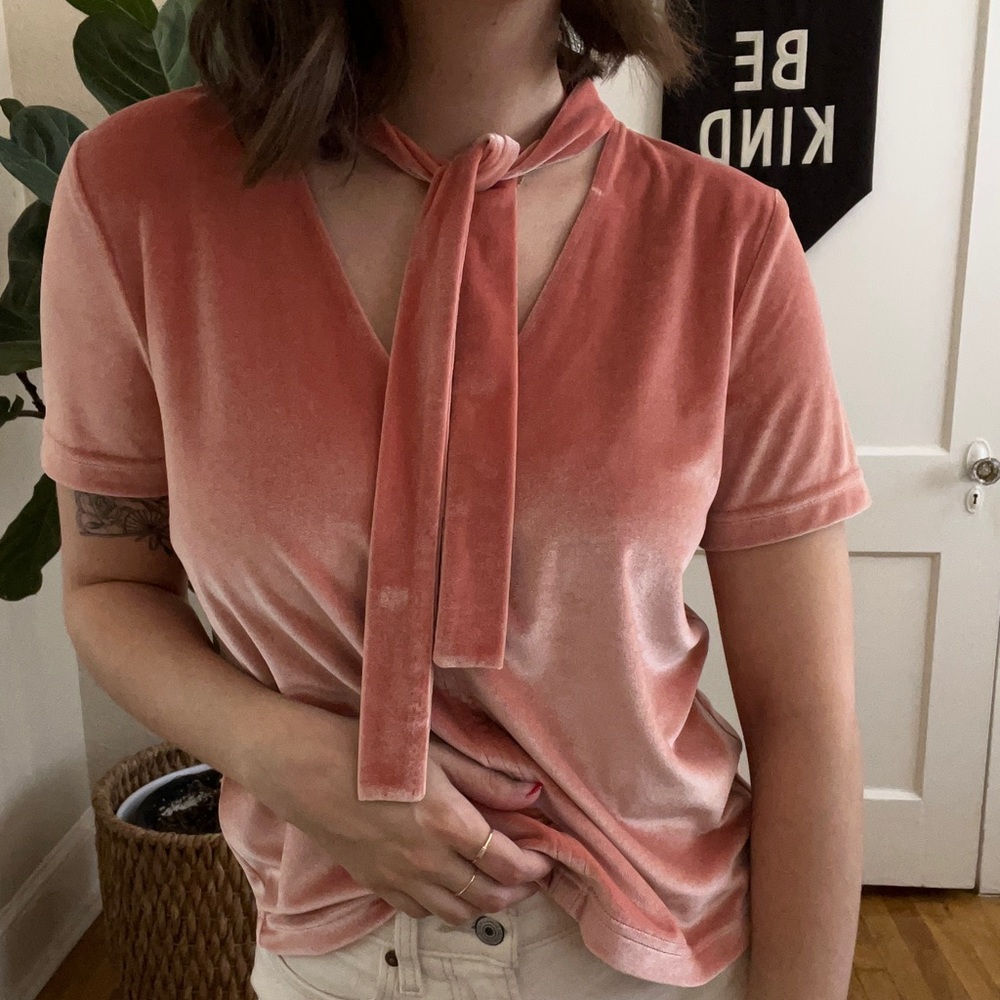 Blush Velvet Madewell Top with Tie Detail